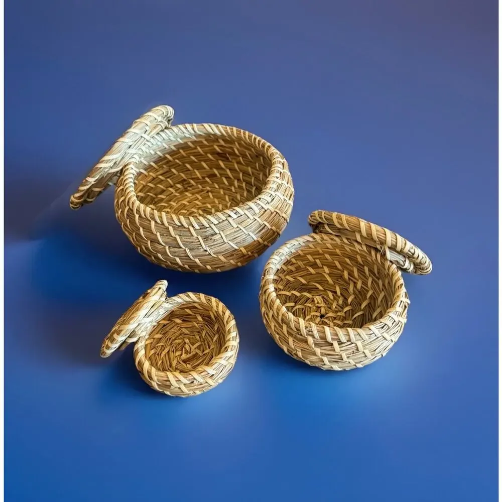 Set of 3 Handwoven Lidded Coiled Grass Baskets Nesting Storage